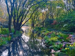 -上海共青森林公园