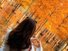 -白鹭湾湿地公园