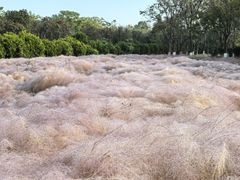 -华山御温泉度假村