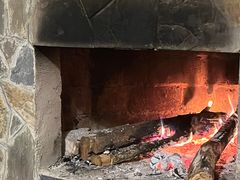 -遇龙河大樟树农家乐