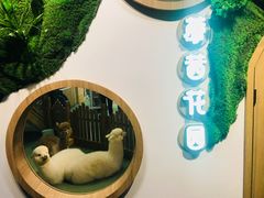 -藦茜花园宠物主题亲子互动体验馆(国顺东路店)