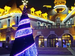 -天津津利华酒店