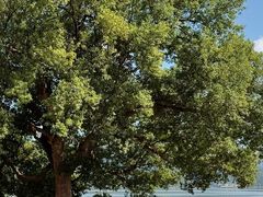 -东钱湖旅游度假区