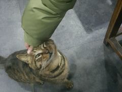 -随柳居·苏式小吃(建新巷店)