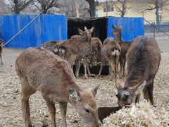 6-赛汗塔拉风情园