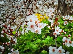 -兰陵国家农业公园