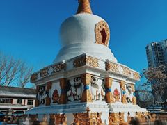 -护国法轮寺