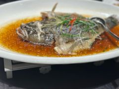 -骏莱海鲜鱼港(五角场店)
