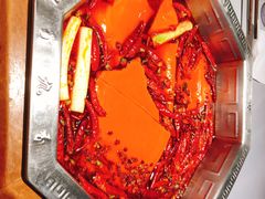 -蜀九香火锅(九眼桥店)