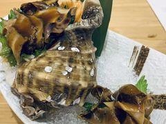 芥末大海螺-小句号·精致料理(江南环球港店)