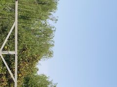 -名骏车业(园区星明店)