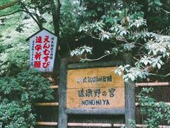 -野宫神社