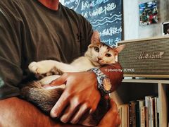-251#coffee roasters(沿河东路店)