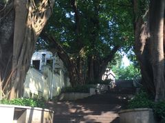 -龙环葡韵住宅式博物馆