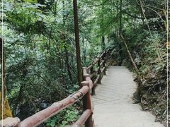 -鹿院坪生态旅游景区