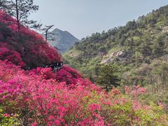 -木兰云雾山