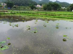 -红山村