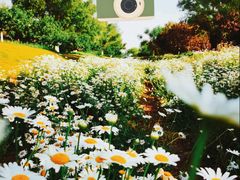 -汉长安城未央宫国家考古遗址公园