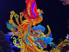 -厦门园林博览苑