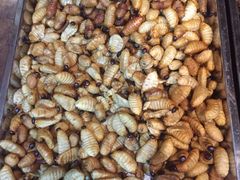 -昆虫窝子·特色云南菜(拓东路总店)