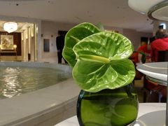 DSC00325-上海雅居乐万豪侯爵酒店