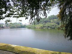 -火炉山森林公园
