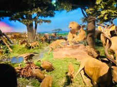 -国家自然博物馆