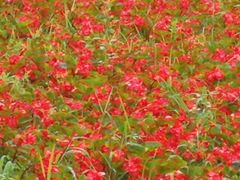 -吉林大学前卫校区南区-日新楼