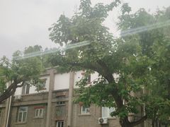 -新清华学堂