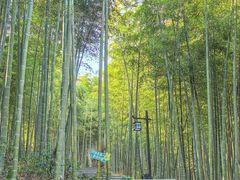 -东明山森林公园