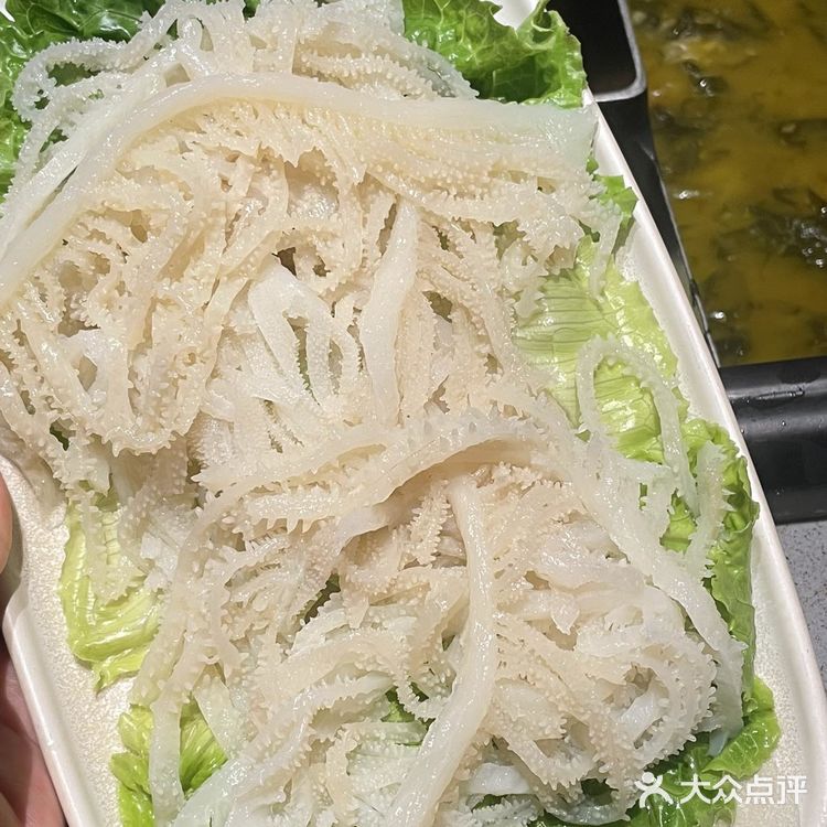 谁发明的毛肚隐藏吃法⁉️直接一口封神好嘛‼️