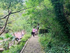 -宁波五龙潭景区