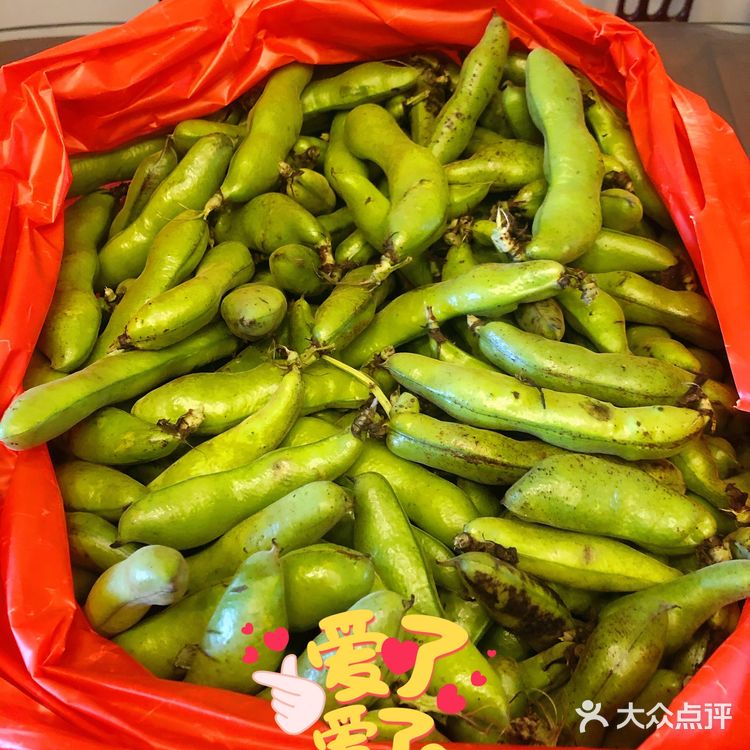 鲜到爆了,太好吃 铁皮石斛鸡汤炖一锅