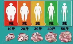 -香薇妮丝·定制减肥·身材管理