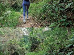 -风云岭森林公园