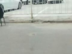 -许仙楼餐厅