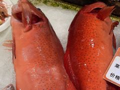 -渔满仓海鲜渔家(象山二店)