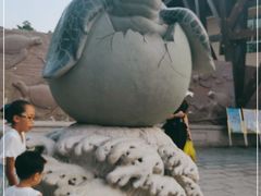 -广东惠东海龟国家级自然保护区