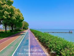 -贡湖湾湿地公园