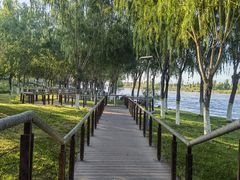 -伊犁河风景区