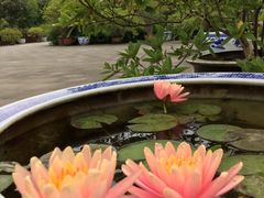 -上海滨江森林公园