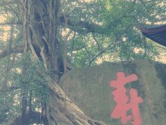 -乌山风景区