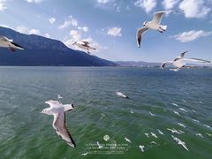 -滇池海埂公园