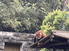-柳州市动物园