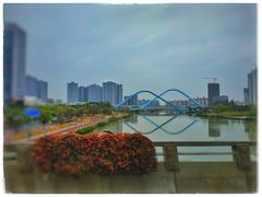 -毛家饭店(今洲广场店)