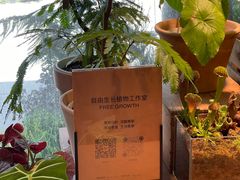 -自由生长植物工作室(深港花卉中心店)