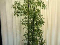 -上地宴·中关村的会客厅(清河高铁站店)