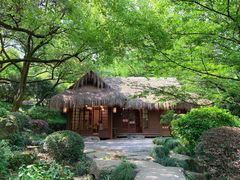 -中国茶叶博物馆(双峰馆区)