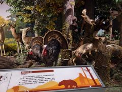 -陕西自然博物馆