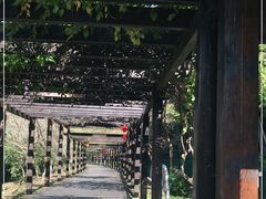 -九龙潭景区